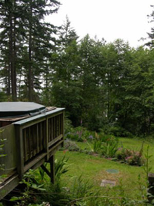 View from the hot tub
